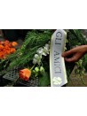 Nastro Ceremony Coronella 100mm - bianco